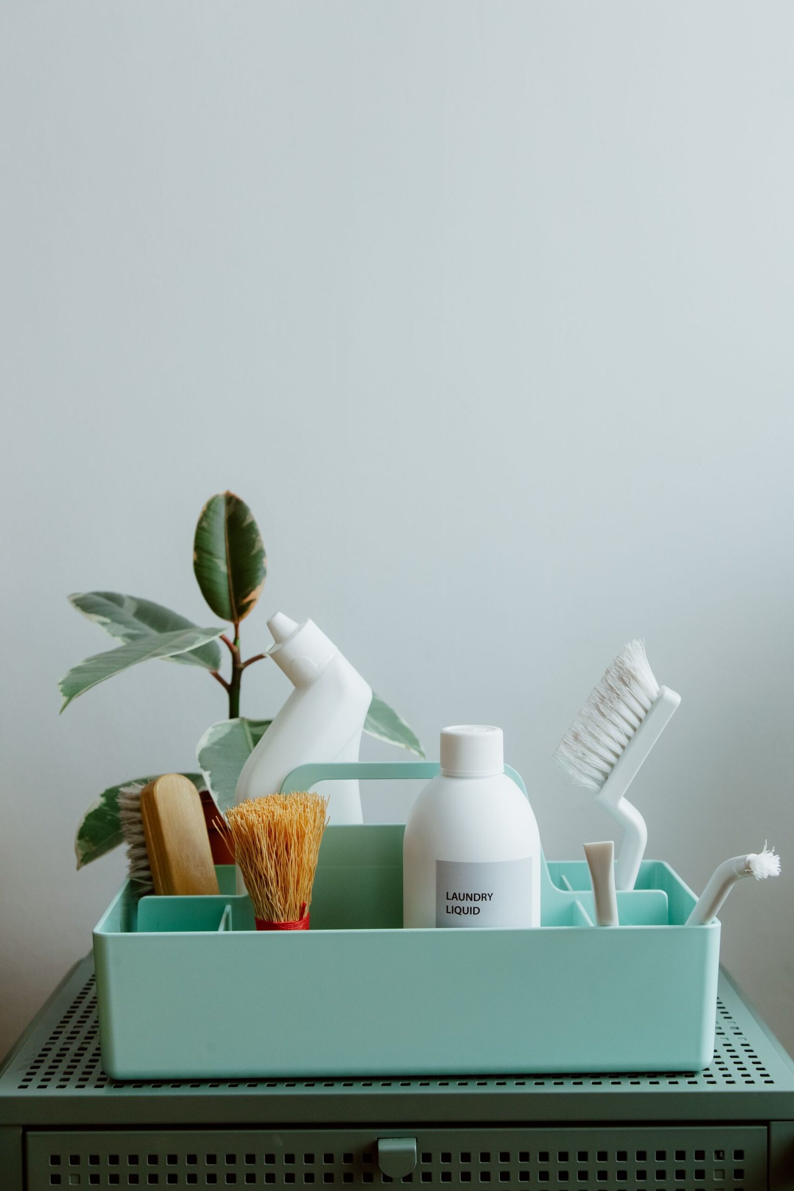 Cleaning supplies and brushes for deep cleaning in Al Ain